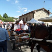 Sagra del Fungo Prugnolo Miratoio 2014