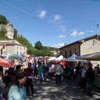 Sagra del Fungo Prugnolo Miratoio 2014