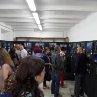 Sagra del Fungo Prugnolo Miratoio 2014