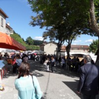 Sagra del Fungo Prugnolo Miratoio 2014