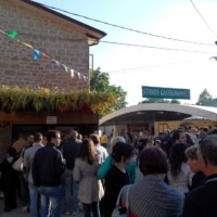 Sagra del Fungo Prugnolo Miratoio 2014