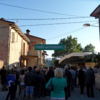 Sagra del Fungo Prugnolo Miratoio 2014