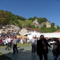 Sagra del Fungo Prugnolo Miratoio 2014