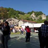 Sagra del Fungo Prugnolo Miratoio 2014