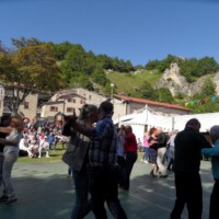 Sagra del Fungo Prugnolo Miratoio 2014