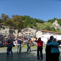 Sagra del Fungo Prugnolo Miratoio 2014