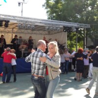 Sagra del Fungo Prugnolo Miratoio 2014