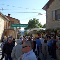 Sagra del Fungo Prugnolo Miratoio 2014