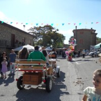 Sagra del Fungo Prugnolo Miratoio 2014