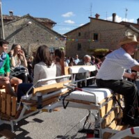 Sagra del Fungo Prugnolo Miratoio 2014