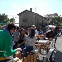 Sagra del Fungo Prugnolo Miratoio 2014