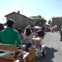 Sagra del Fungo Prugnolo Miratoio 2014