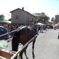 Sagra del Fungo Prugnolo Miratoio 2014