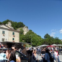 Sagra del Fungo Prugnolo Miratoio 2014
