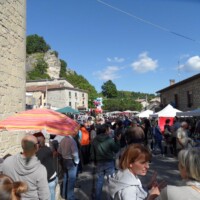 Sagra del Fungo Prugnolo Miratoio 2014
