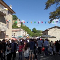 Sagra del Fungo Prugnolo Miratoio 2014