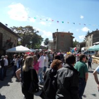 Sagra del Fungo Prugnolo Miratoio 2014