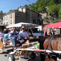 Sagra del Fungo Prugnolo Miratoio 2014