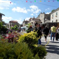 Sagra del Fungo Prugnolo Miratoio 2014