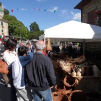 Sagra del Fungo Prugnolo Miratoio 2014