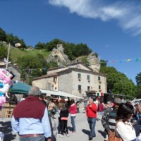 Sagra del Fungo Prugnolo Miratoio 2014