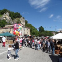 Sagra del Fungo Prugnolo Miratoio 2014