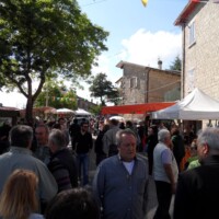 Sagra del Fungo Prugnolo Miratoio 2014