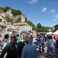 Sagra del Fungo Prugnolo Miratoio 2014